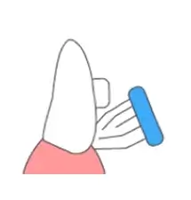 ブラッシング4(歯と歯茎の境目も)図